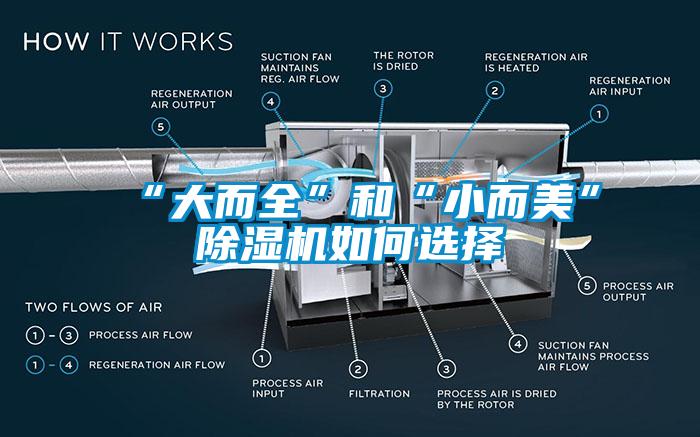 “大而全”和“小而美”除濕機如何選擇