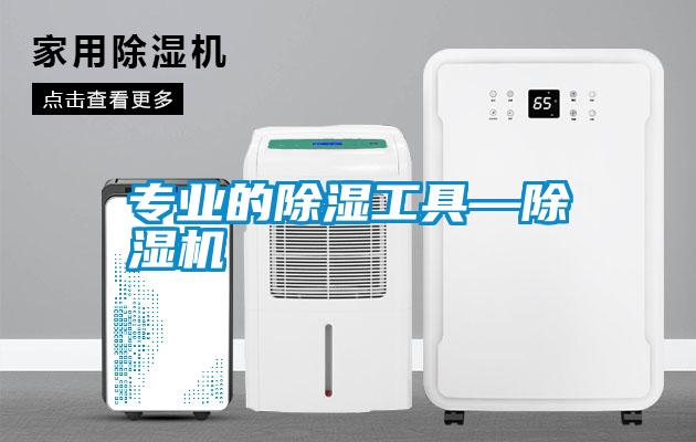 專業(yè)的除濕工具—除濕機(jī)