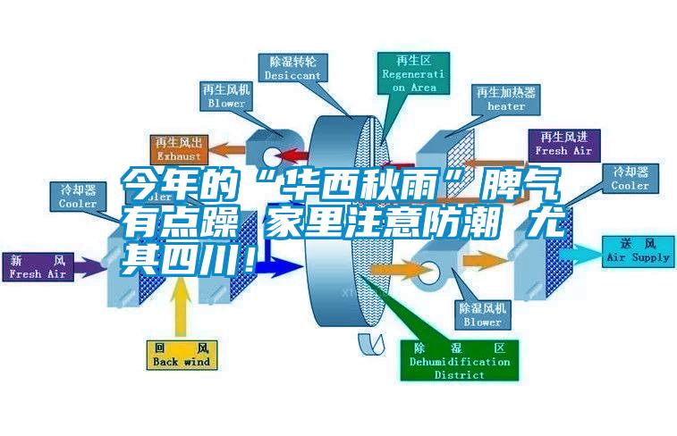 今年的“華西秋雨”脾氣有點(diǎn)躁 家里注意防潮 尤其四川！