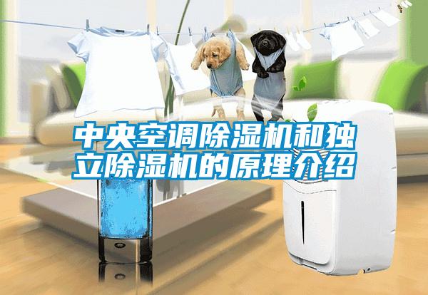 中央空調(diào)除濕機和獨立除濕機的原理介紹