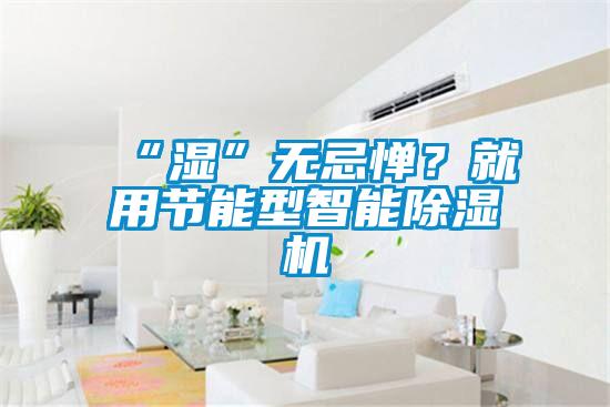 “濕”無忌憚？就用節(jié)能型智能除濕機