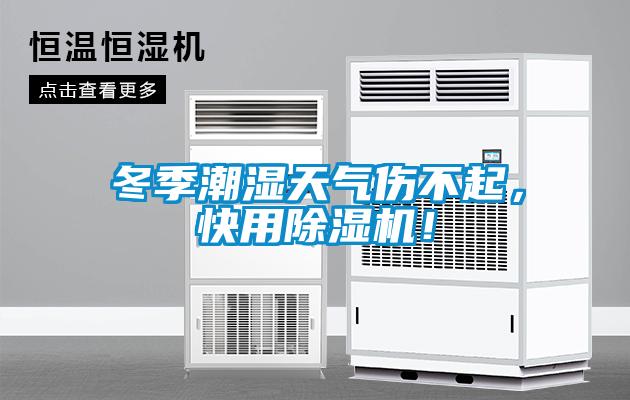 冬季潮濕天氣傷不起，快用除濕機！