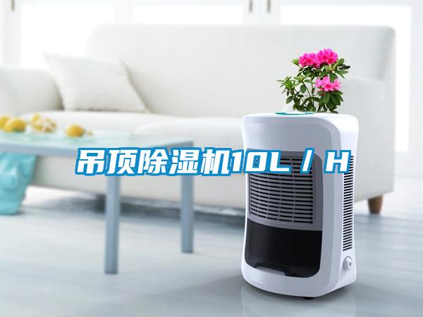 吊頂除濕機(jī)10L／H