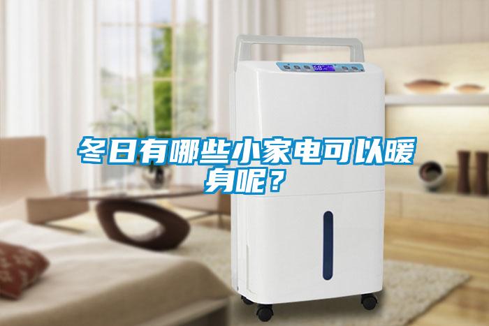 冬日有哪些小家電可以暖身呢？