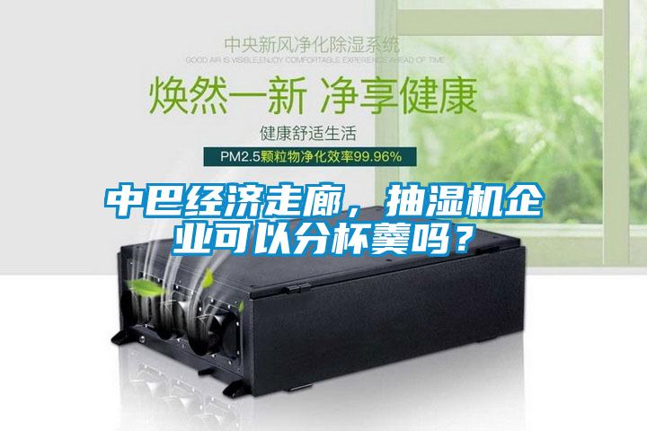 中巴經(jīng)濟走廊，抽濕機企業(yè)可以分杯羹嗎？