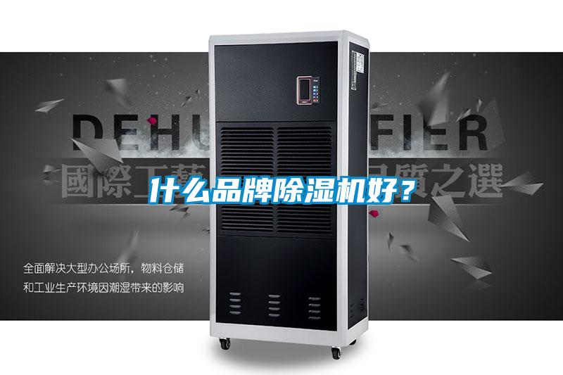 什么品牌除濕機(jī)好？