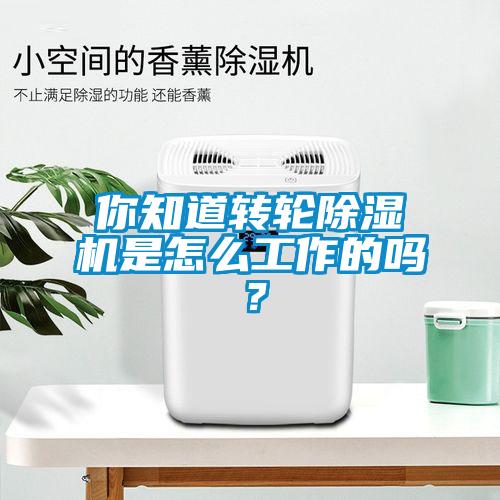 你知道轉(zhuǎn)輪除濕機是怎么工作的嗎？