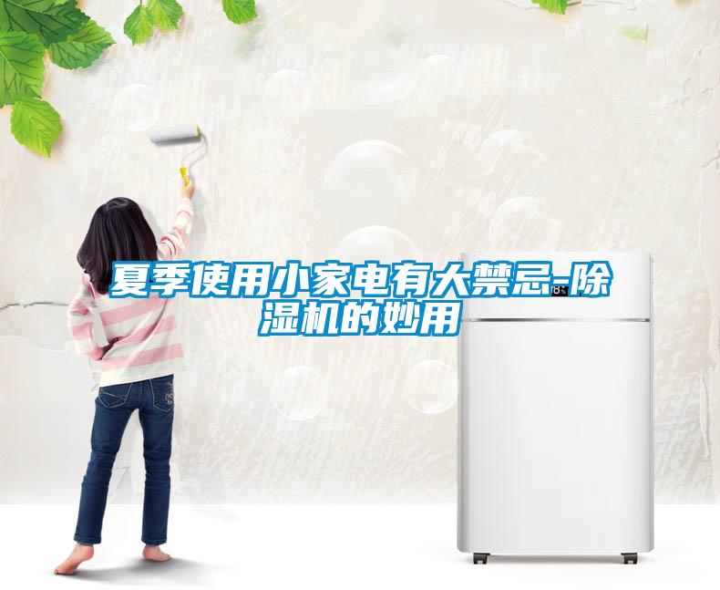 夏季使用小家電有大禁忌-除濕機(jī)的妙用