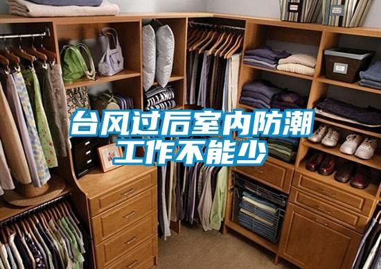 臺風過后室內防潮工作不能少