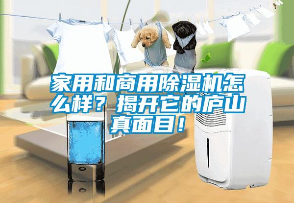 家用和商用除濕機怎么樣？揭開它的廬山真面目！