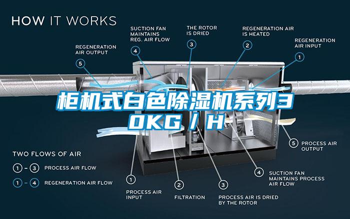 柜機(jī)式白色除濕機(jī)系列30KG／H