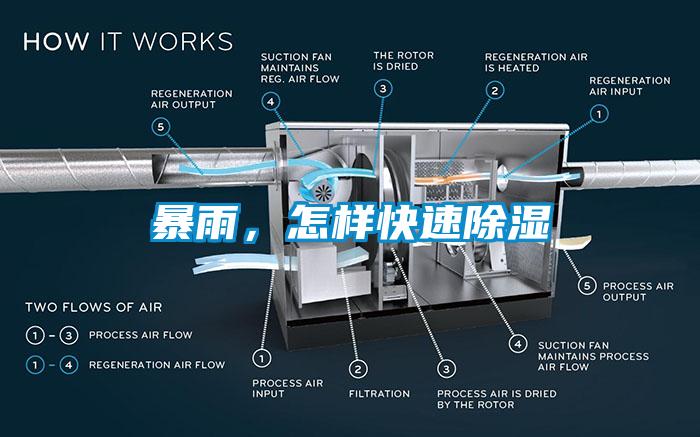 暴雨，怎樣快速除濕