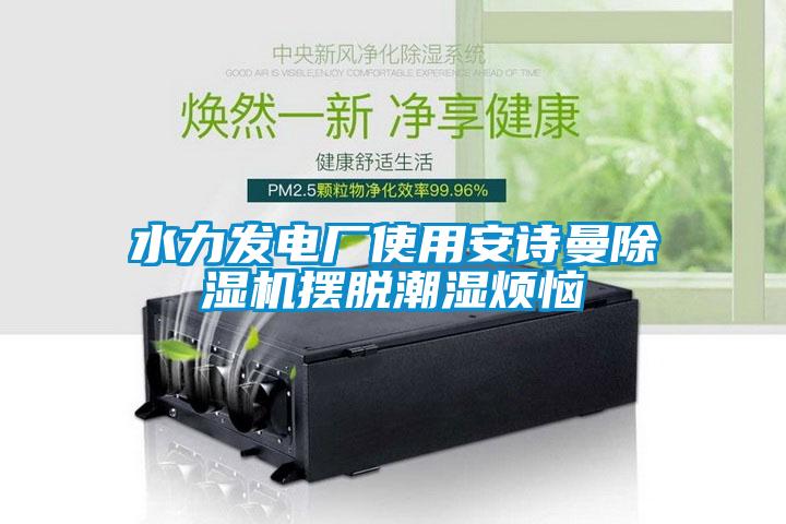 水力發(fā)電廠使用安詩曼除濕機擺脫潮濕煩惱