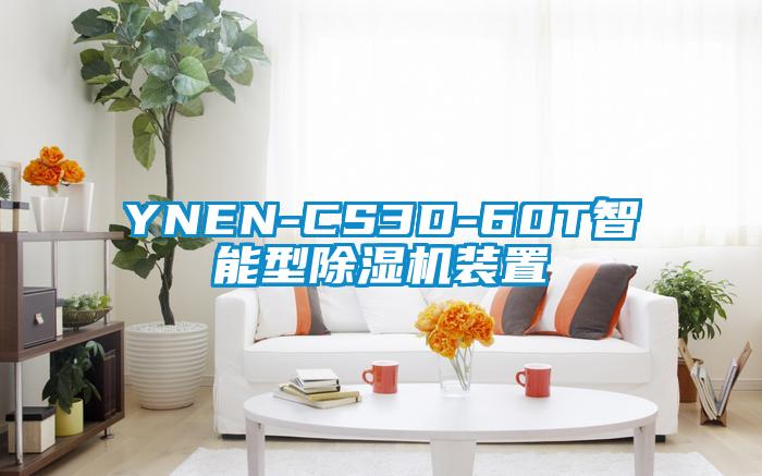 YNEN-CS3D-60T智能型除濕機裝置