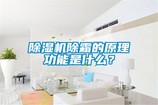 除濕機(jī)除霜的原理功能是什么？