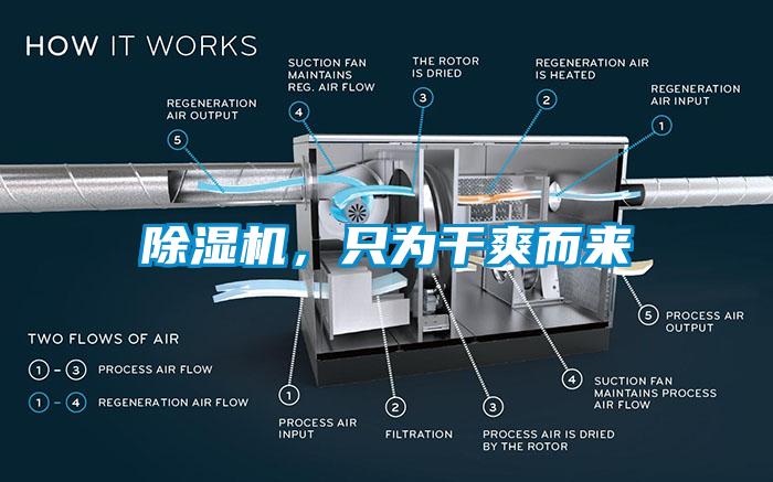 除濕機(jī)，只為干爽而來