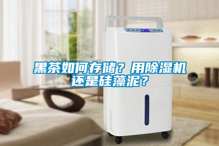 黑茶如何存儲(chǔ)？用除濕機(jī)還是硅藻泥？