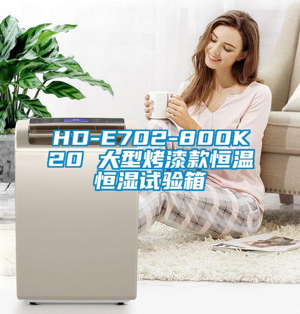 HD-E702-800K20 大型烤漆款恒溫恒濕試驗(yàn)箱