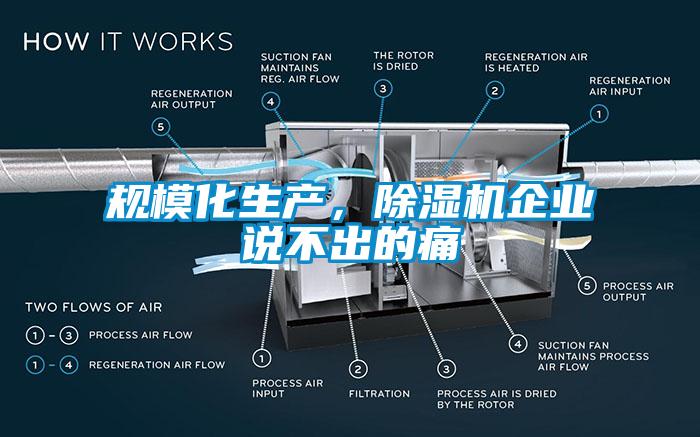 規(guī)?；a(chǎn)，除濕機(jī)企業(yè)說不出的痛