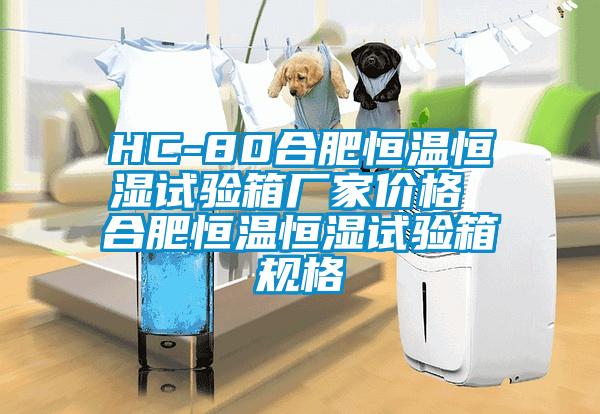 HC-80合肥恒溫恒濕試驗(yàn)箱廠(chǎng)家價(jià)格 合肥恒溫恒濕試驗(yàn)箱規(guī)格