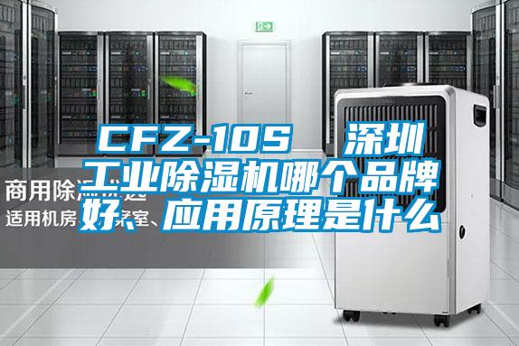 CFZ-10S  深圳工業(yè)除濕機(jī)哪個(gè)品牌好、應(yīng)用原理是什么