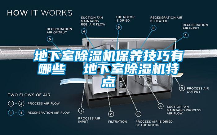 地下室除濕機保養(yǎng)技巧有哪些  地下室除濕機特點