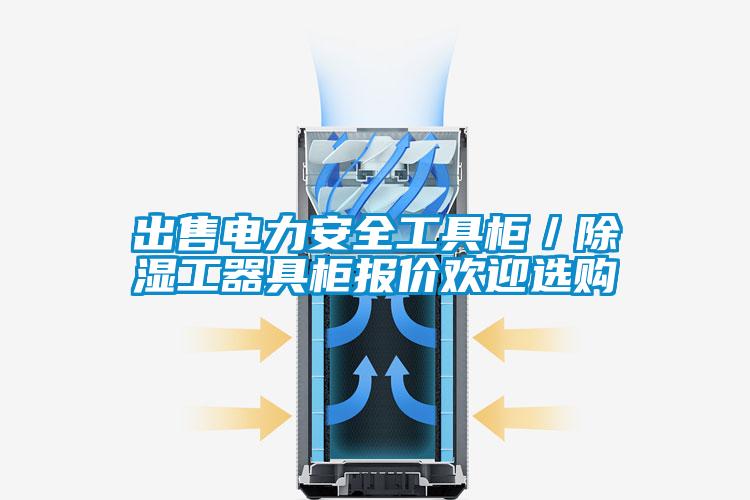 出售電力安全工具柜／除濕工器具柜報(bào)價歡迎選購