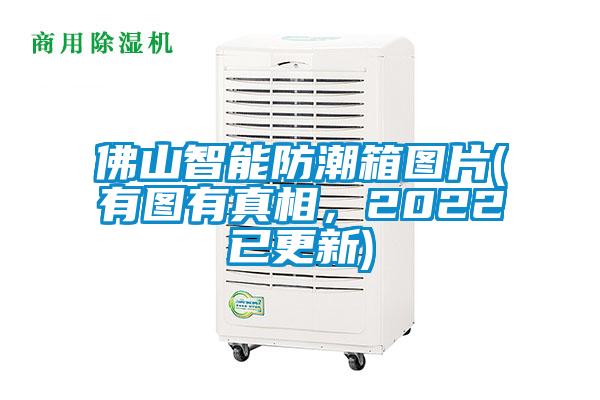 佛山智能防潮箱圖片(有圖有真相，2022已更新)