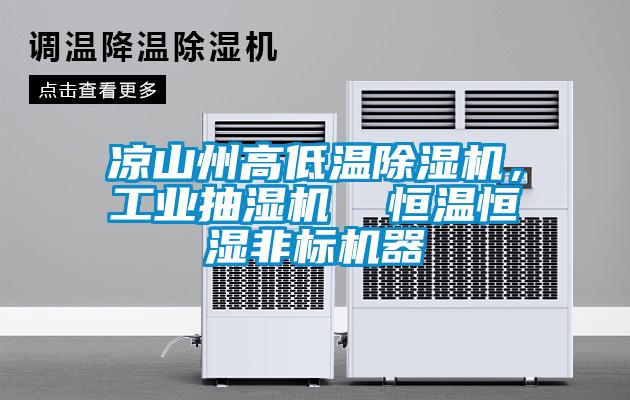 涼山州高低溫除濕機，工業(yè)抽濕機  恒溫恒濕非標機器