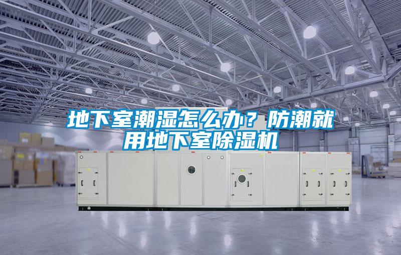 地下室潮濕怎么辦？防潮就用地下室除濕機(jī)