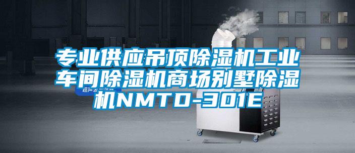 專業(yè)供應吊頂除濕機工業(yè)車間除濕機商場別墅除濕機NMTD-301E