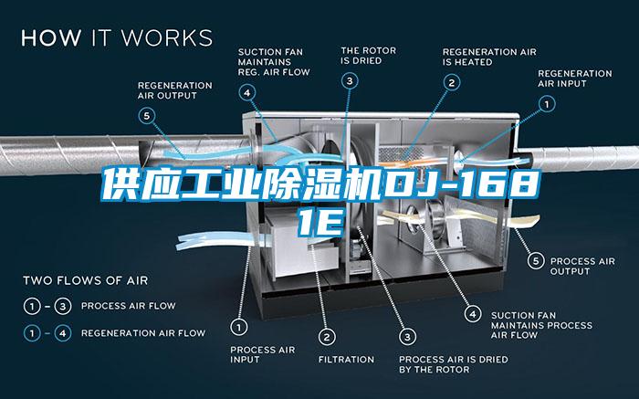 供應工業(yè)除濕機DJ-1681E