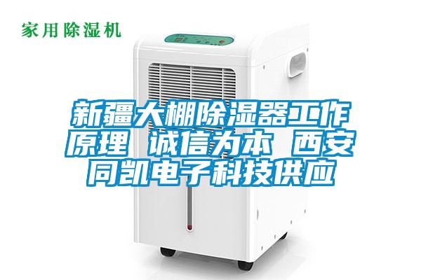 新疆大棚除濕器工作原理 誠(chéng)信為本 西安同凱電子科技供應(yīng)