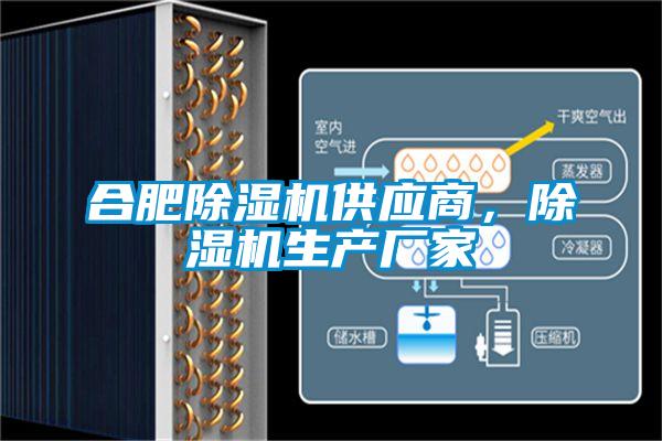 合肥除濕機(jī)供應(yīng)商，除濕機(jī)生產(chǎn)廠家