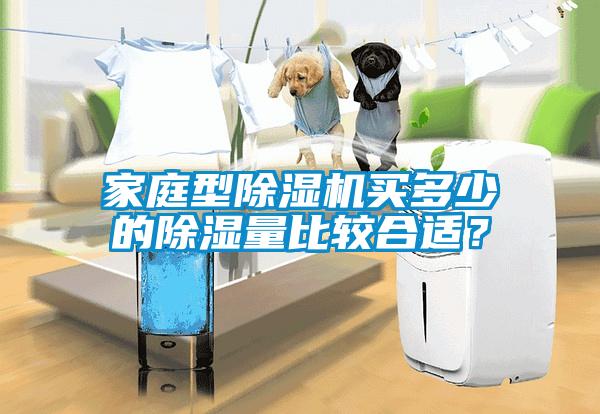 家庭型除濕機買多少的除濕量比較合適？