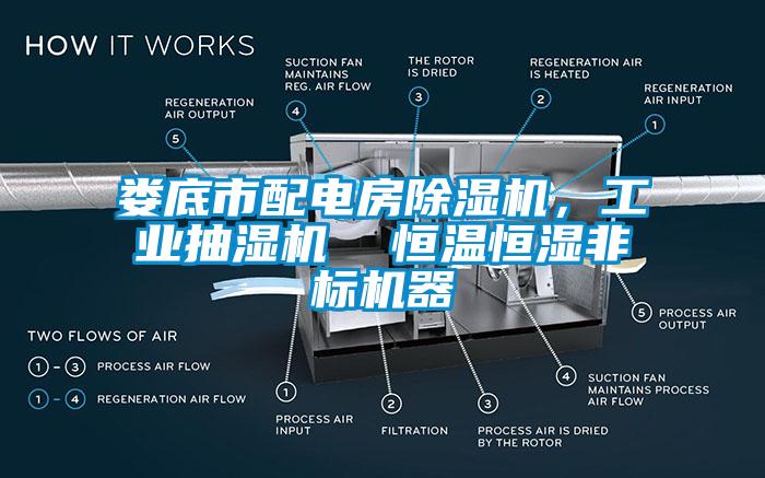 婁底市配電房除濕機，工業(yè)抽濕機  恒溫恒濕非標機器