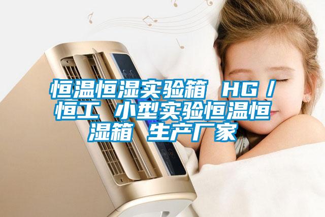 恒溫恒濕實驗箱 HG／恒工 小型實驗恒溫恒濕箱 生產(chǎn)廠家