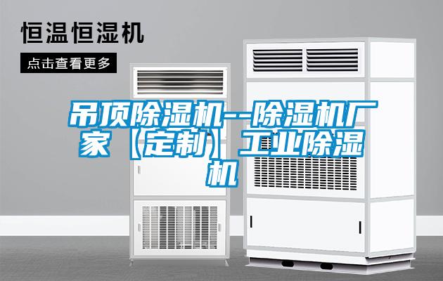 吊頂除濕機(jī)--除濕機(jī)廠家【定制】工業(yè)除濕機(jī)