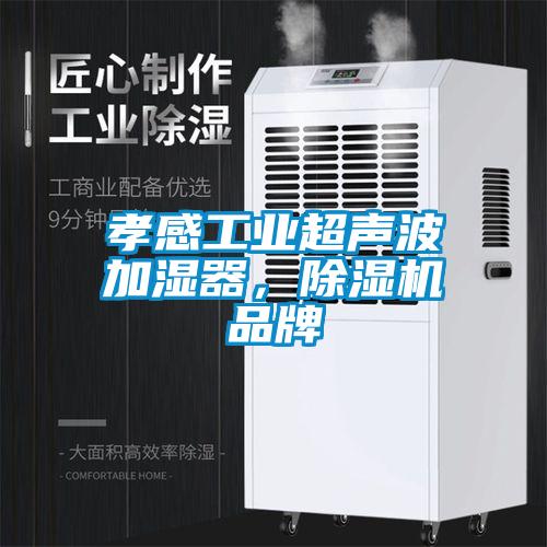 孝感工業(yè)超聲波加濕器，除濕機(jī)品牌