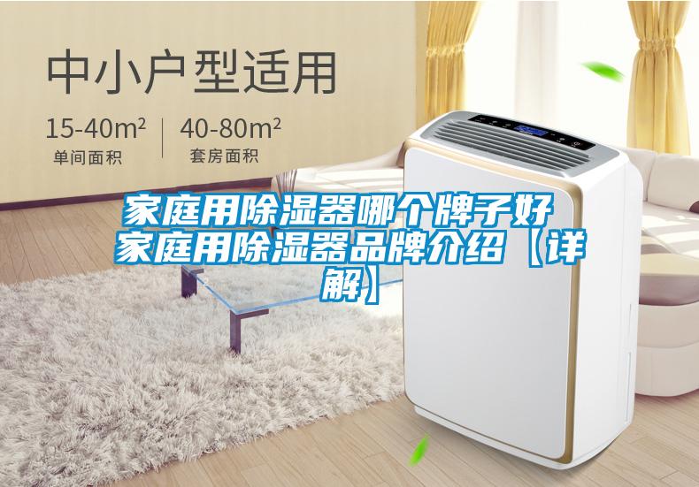 家庭用除濕器哪個牌子好 家庭用除濕器品牌介紹【詳解】