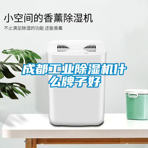 成都工業(yè)除濕機什么牌子好