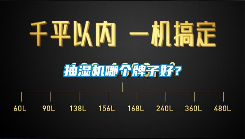 抽濕機(jī)哪個(gè)牌子好？