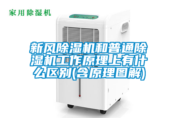 新風除濕機和普通除濕機工作原理上有什么區(qū)別(含原理圖解)