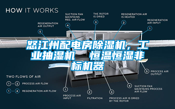 怒江州配電房除濕機(jī)，工業(yè)抽濕機(jī)  恒溫恒濕非標(biāo)機(jī)器