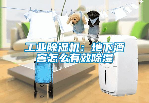 工業(yè)除濕機(jī)：地下酒窖怎么有效除濕