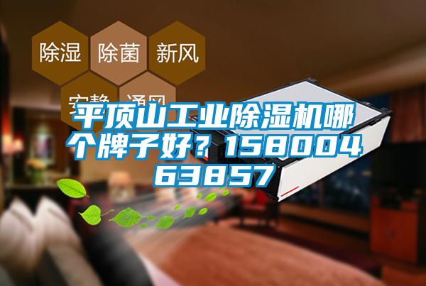 平頂山工業(yè)除濕機哪個牌子好？15800463857