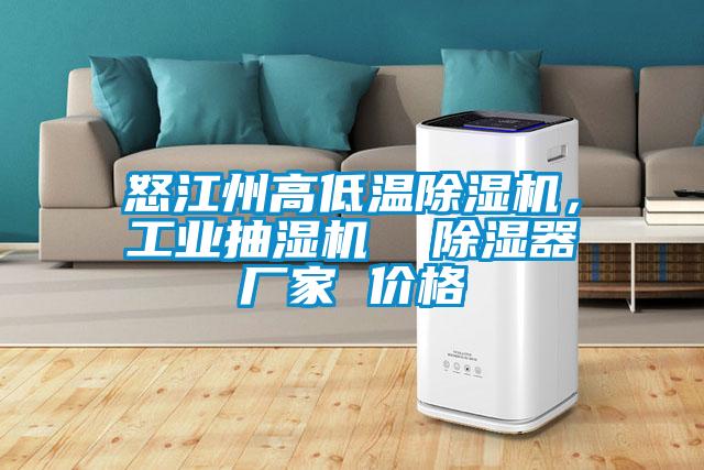 怒江州高低溫除濕機，工業(yè)抽濕機  除濕器廠家 價格