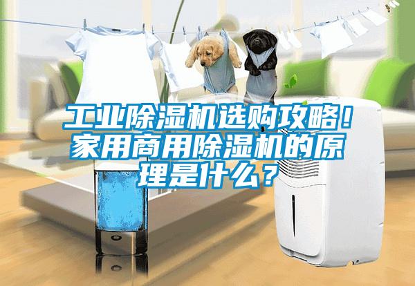 工業(yè)除濕機選購攻略！家用商用除濕機的原理是什么？