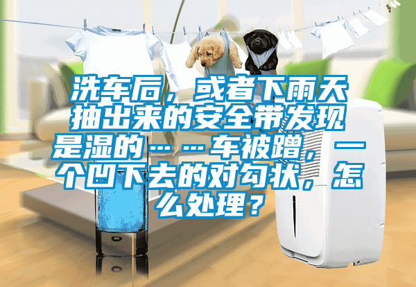 洗車后，或者下雨天抽出來的安全帶發(fā)現(xiàn)是濕的……車被蹭，一個凹下去的對勾狀，怎么處理？