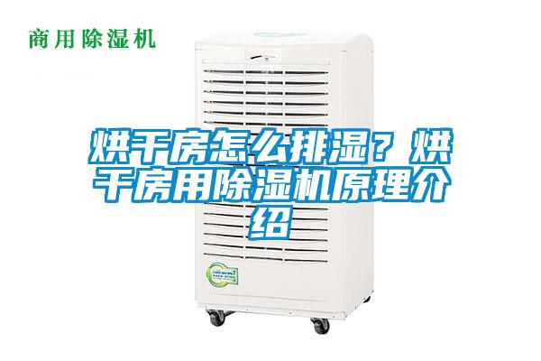 烘干房怎么排濕？烘干房用除濕機原理介紹